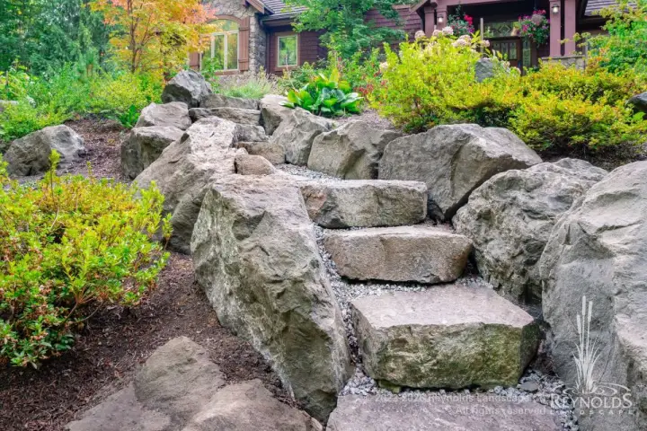Natural boulder staircase with large irregular stone steps ascending hillside surrounded by golden ornamental shrubs and lush garden plantings