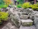Natural boulder staircase with large irregular stone steps ascending hillside surrounded by golden ornamental shrubs and lush garden plantings
