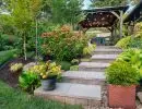 Wide concrete paver staircase ascending lush hillside garden with potted plants, colorful perennials, dense shrubs, and wood pergola structure above