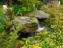 Boulder waterfall spilling into a backyard pond surrounded by Japanese maples, ornamental shrubs, and lush layered garden plantings