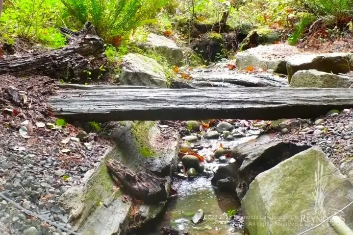Naturalistic backyard stream with natural log bridge, mossy boulders, and lush woodland plantings