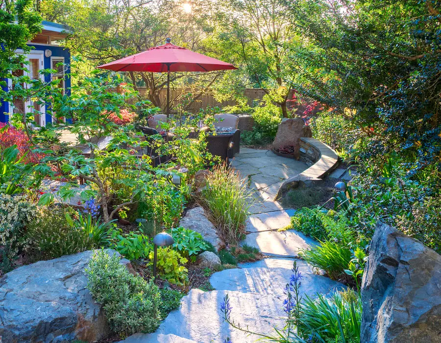 thriving garden plants