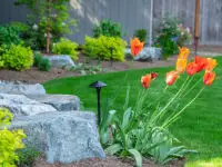 Big garden rocks with beautiful blooming flowers.