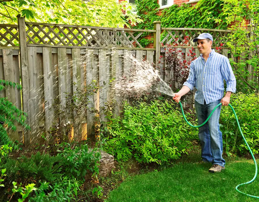 thriving garden plants