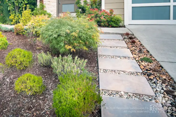 rl web portfolio walks kasp modern steppingstones