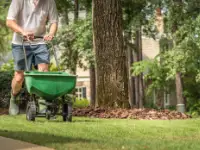 woman raking leaves
